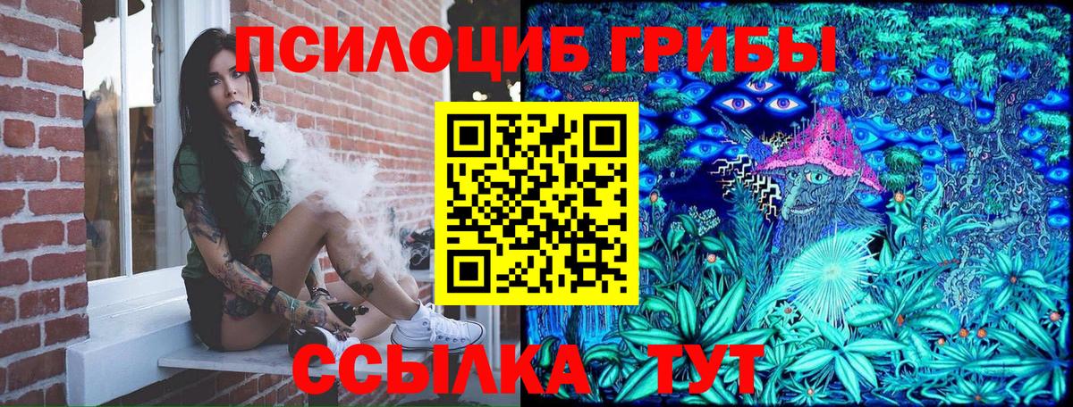 Новочеркасск  Галлюциногенные грибы Cubensis  Псилоцибиновые грибы мухоморы  Вход с VPN 